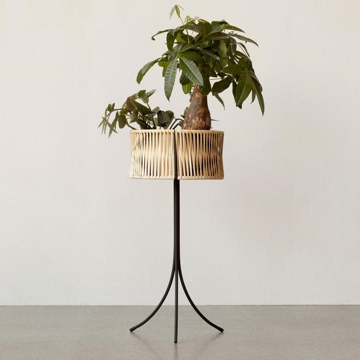 Drake General Store - MENU Design Umanoff Planter, Large