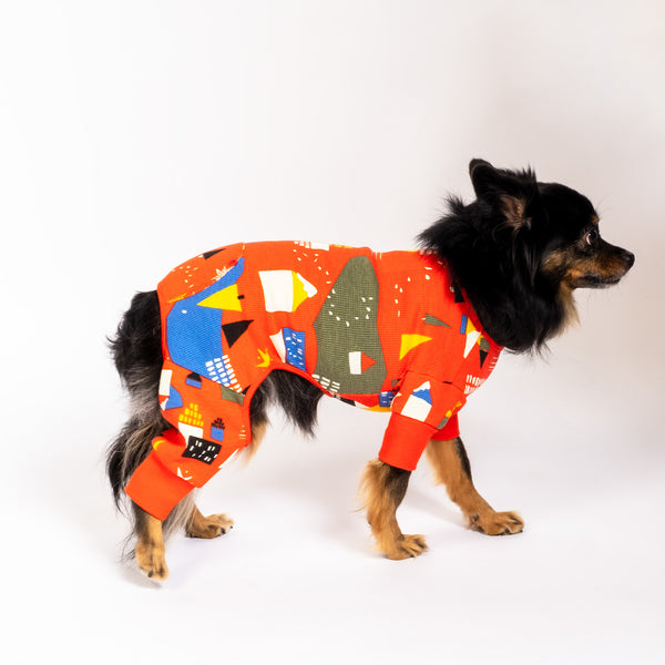 Drake General Store - Nordic Winterland - Dog